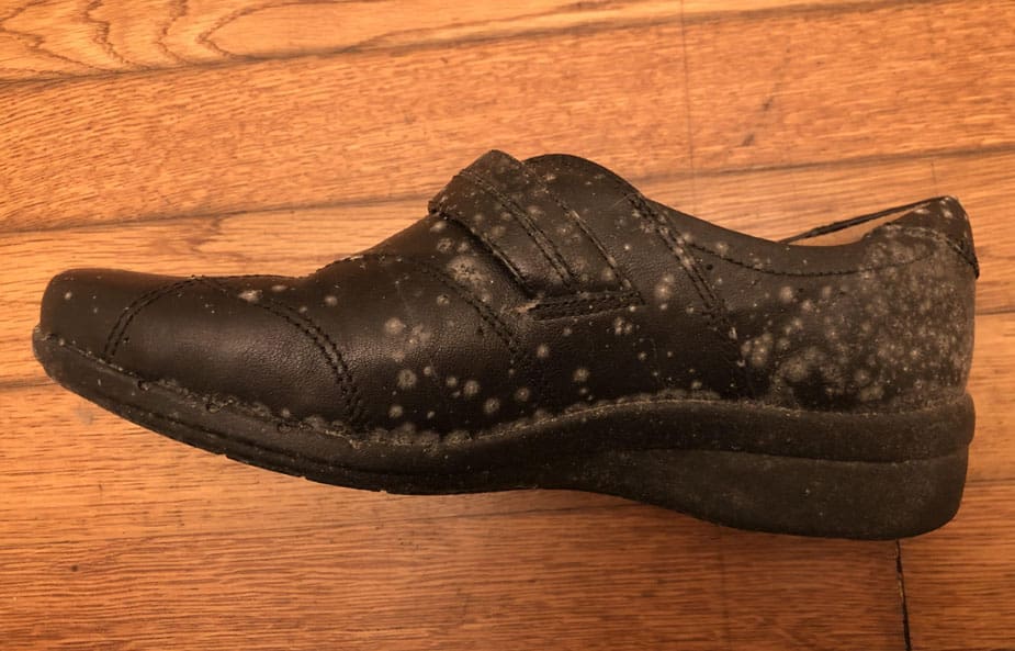 sepatu berjamur